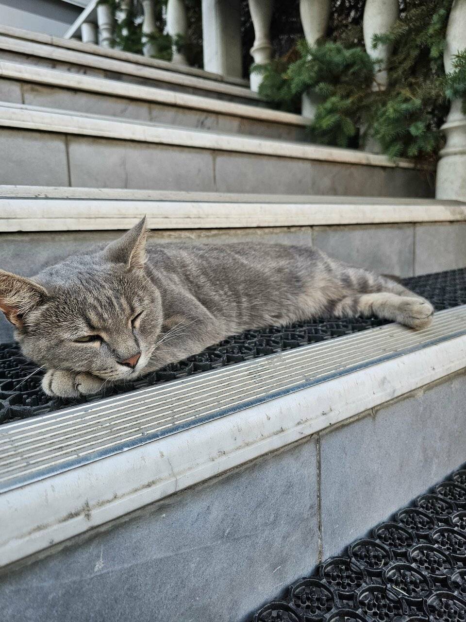 Фото Гостиницы Высокий берег Анапа 144