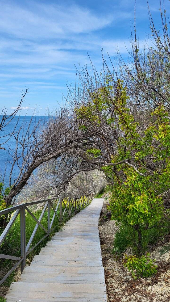 Фото Гостиницы Высокий берег Анапа 115