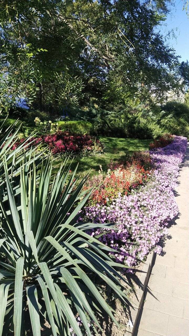 Фото Гостиницы Высокий берег Анапа 130