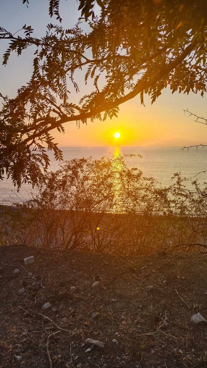 Фото Гостиницы Высокий берег Анапа 227