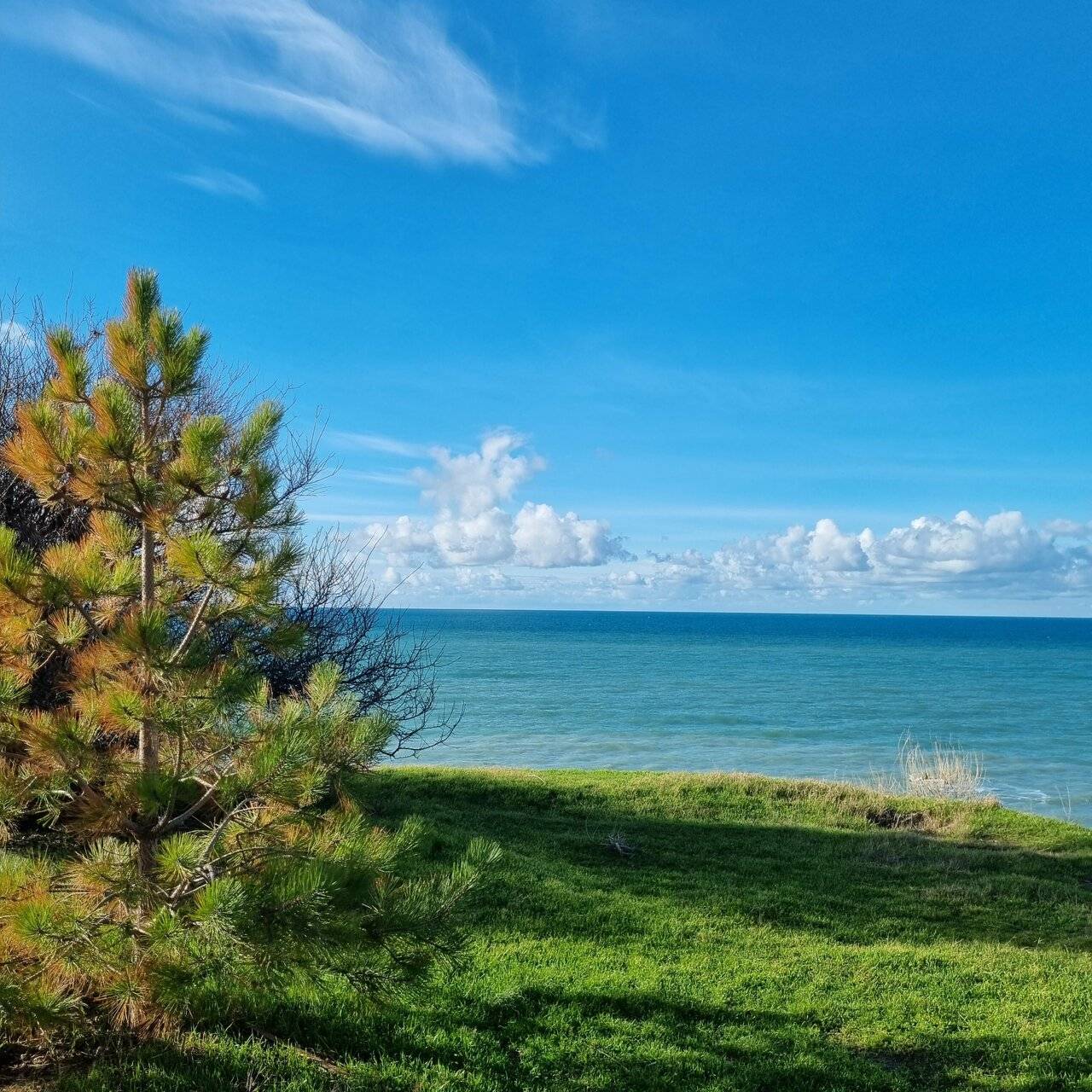 Фото Гостиницы Высокий берег Анапа 134