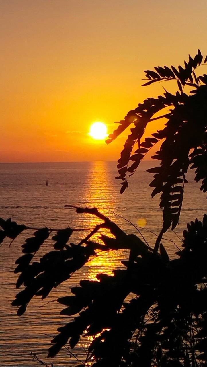 Фото Гостиницы Высокий берег Анапа 154