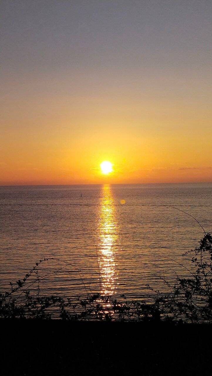 Фото Гостиницы Высокий берег Анапа 119